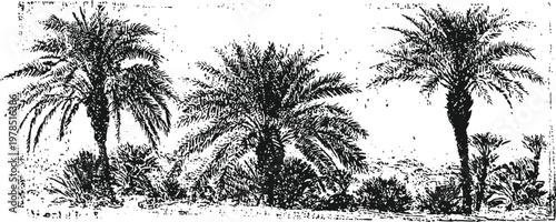 Vintage illustration of palm trees in desert landscape with shrubbery and distant horizon