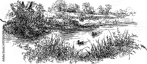 Peaceful river landscape with ducks swimming along the water surrounded by trees and grass