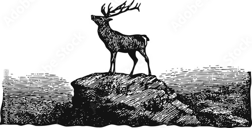 Majestic stag standing on rocky terrain overlooking vast wilderness landscape