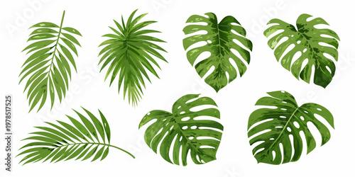 Collection of vibrant tropical leaves in various shapes and green hues