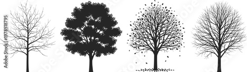 Set of black tree silhouettes in different shapes and seasons isolated on white background.