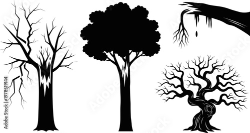 Dead Tree Silhouettes and Broken Branches Isolated on White Background