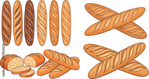 Baguette bread collection with whole loaves and sliced pieces, fresh bakery products in detailed vector illustration set