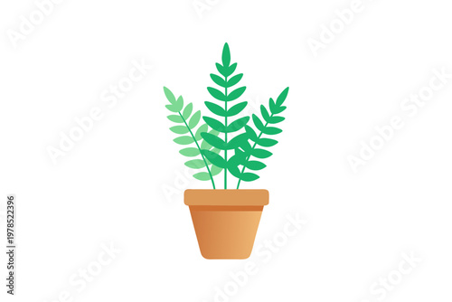Green fern plant in clay pot, minimalist illustration on transparent background