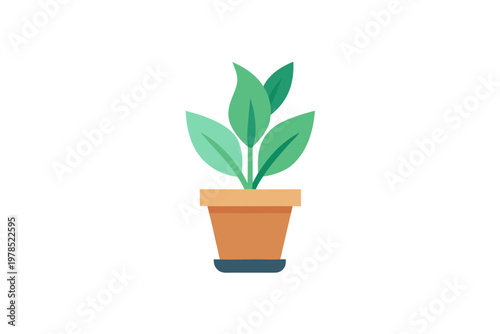 Modern flat houseplant in orange pot with saucer and multiple green leaves for office decor