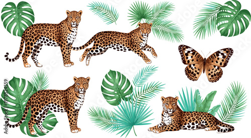 Konstfotografi Leopard vector set with tropical leaves and butterfly, realistic wild jungle ani