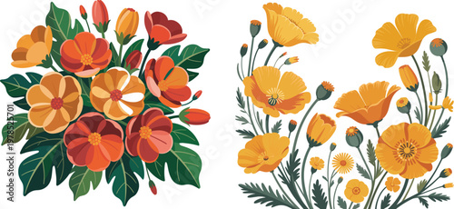 Orange and Yellow Poppy Flower Arrangements, Graphic Illustrations, Isolated on White