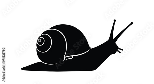 A black silhouette of a snail with visible shell and antennae