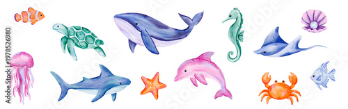 Photography Watercolor Sea Animals and Ocean Creatures Including Whales, Dolphins, Sharks, F