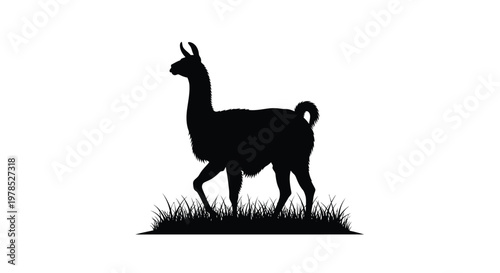 Silhouette of a llama standing in grassy terrain against a white background