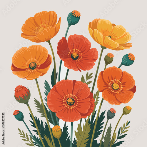 Poppy Flowers Bunch, Orange and Red Blooms, Budding Plants, Simple Style