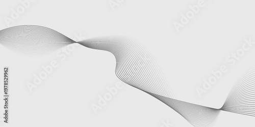 Abstract vector background with black wavy lines.