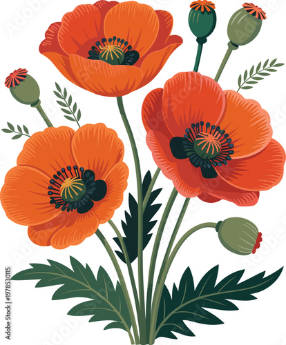 Red Poppies with Buds and Green Leaves, Floral Illustration, Stock Media