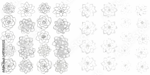 Collection of grayscale floral sketches depicting various blossoming flower stages