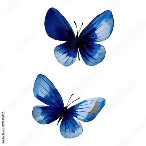 Beautiful blue watercolor butterflies set on white.