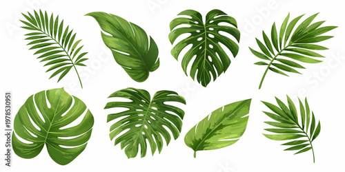 A collection of vibrant green tropical leaves against a white background