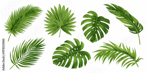 Collection of vibrant green tropical leaves on a white background