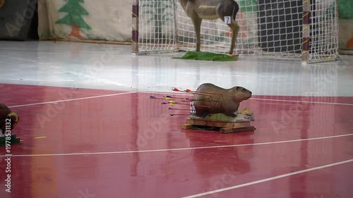 Shooting at targets in the form of plastic figures.  Man Shoots An Arrow From A Bow.
