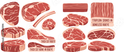 Butcher meat cuts collection with steak ribeye sirloin and beef pieces retro duotone vector illustration food design isolated background