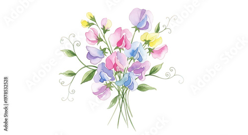 Watercolor illustration of a delicate bouquet of sweet pea flowers in soft pastel colors isolated on a white background transparent background