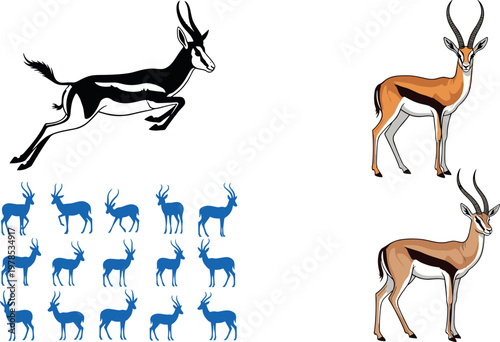 Wild animal vector set featuring bear lion deer raccoon turkey turtle skunk and cats cartoon wildlife illustration collection