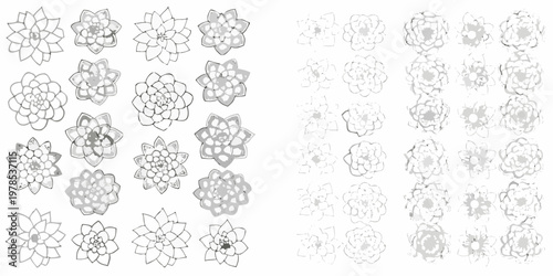 Floral arrangements of succulent like plants in varying shades of gray