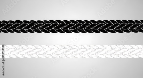 Vector illustration of two parallel ropes, one black, one white, braided on a gradient