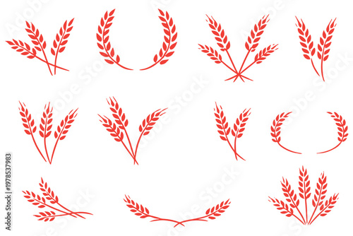 wheat ear. Cereal icon set, wheat ears icon vector, wheat, barley, oatmeal, flour, grain icon vector set. Harvest wheat grain, growth rice stalk and whole bread grains.
