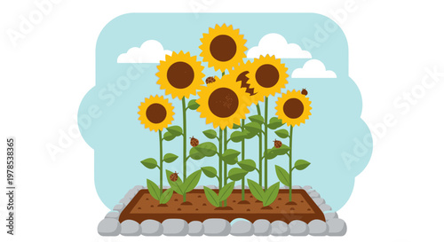 International Sunflower Festival Showcases Beauty of Nature