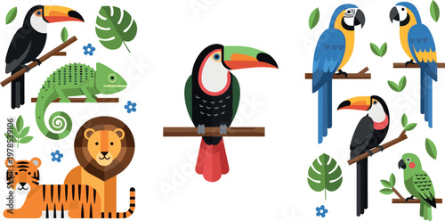 Tropical animals and birds collection with toucan parrot tiger lion and chameleon cartoon vector illustration set