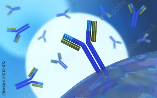 antibody, immunoglobulin, Y-shaped protein produced mainly by plasma cells,   3d rendering