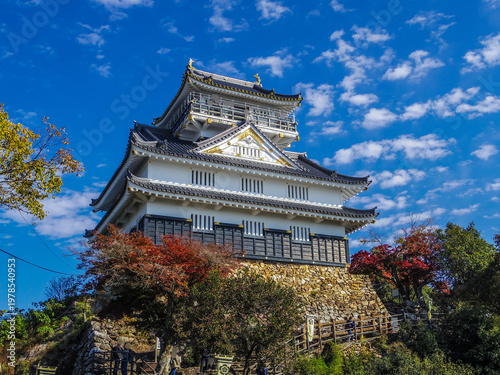 Wallpaper Mural 【岐阜県】岐阜市・岐阜城 Torontodigital.ca