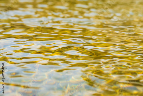 春の清流　揺らぐ水面をローアングル15