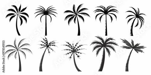 Collection of diverse palm tree silhouettes in black and white