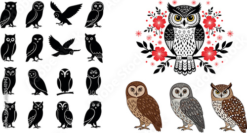 Owl vector set with silhouettes and detailed illustrations, nocturnal bird collection with floral design elements for wildlife and tattoo projects