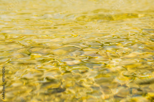 春の清流　揺らぐ水面をローアングル17