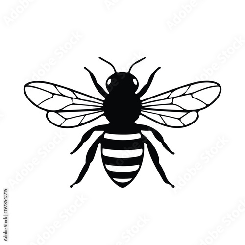 Honey bee black silhouette vector illustration