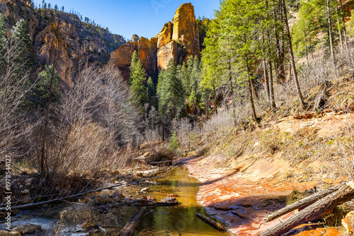 West Fork Trail with Oak Creek in Red Canyon Sedona Arizona