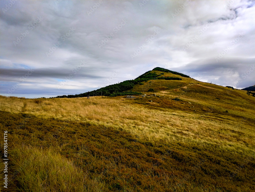 Fototapeta premium Rolling grassy hills with a winding trail leading to a mountain peak beneath a dramatic cloudy sky, ideal for outdoor, adventure, and nature-themed designs.