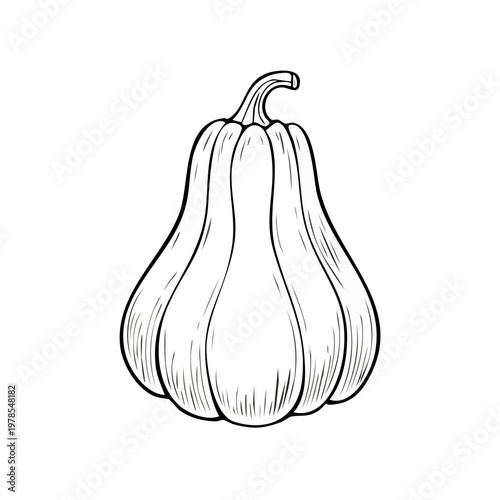 Hand drawn illustration of a classic bell shaped pumpkin with vertical lines indicating shading on its surface