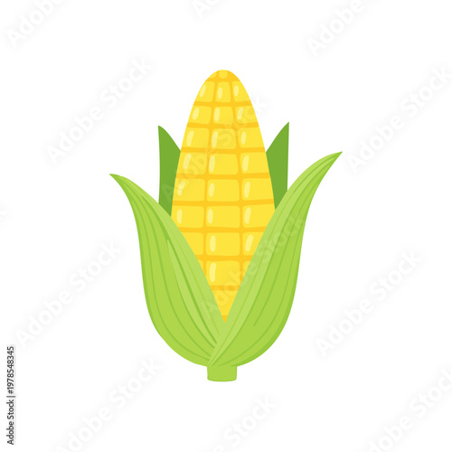 Bright Yellow Corn Cob with Green Leaves Vector Illustration