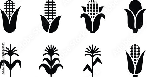 Corn plant and maize cob black silhouette icon set