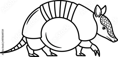 Armadillo walking forward with its tail and claws visible clearly