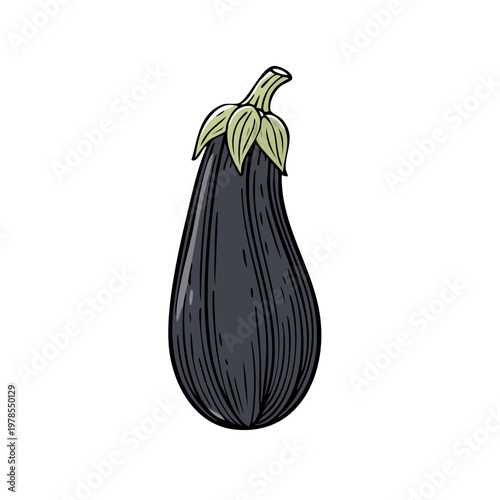 Illustration of a single ripe dark purple eggplant with a green stem and leaves, hand-drawn style