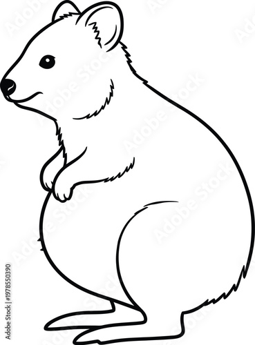 Simple line drawing of a quokka standing on its hind legs looking to the side