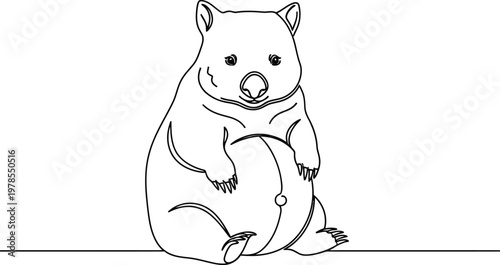 Simple line drawing of a wombat sitting on the ground looking cute