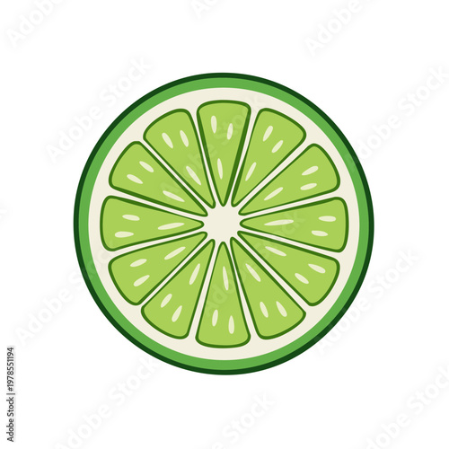 Vibrant green lime slice illustration with detailed segments and white pith