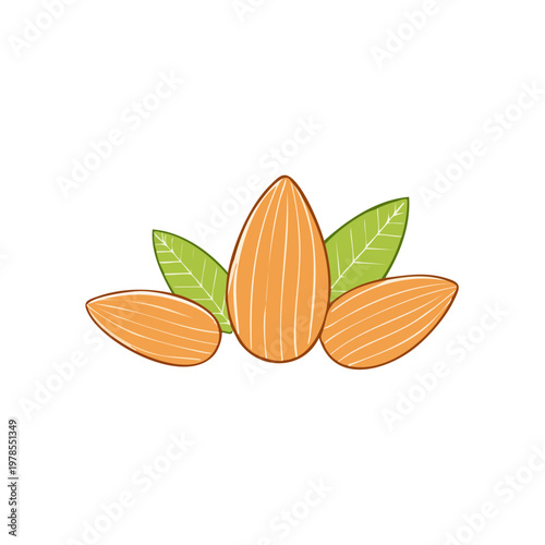 Three stylized almonds with green leaves isolated on white background