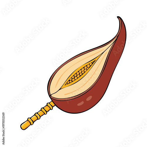 Diagram of a cross-section of a stylized fruit showing seeds and fleshy pulp