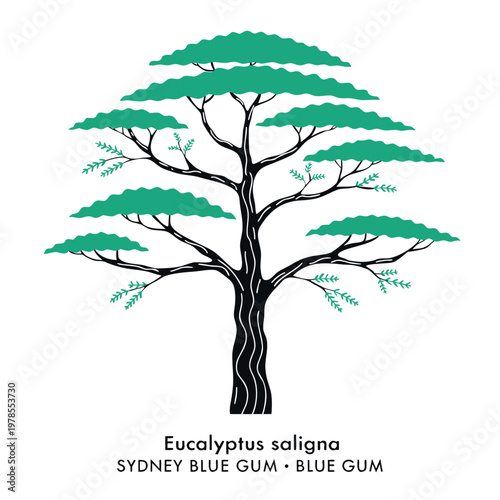 A stylized illustration of a bonsai tree